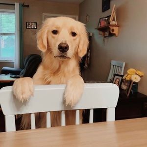 Meet your Posher, Brian